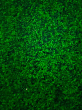 Load image into Gallery viewer, Mutant (Glow)