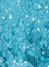 Load image into Gallery viewer, Sharkie