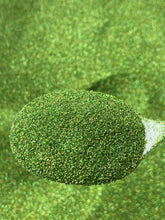 Load image into Gallery viewer, Grinch 2.0 (Holographic)