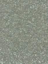 Load image into Gallery viewer, Moon Dust Mica