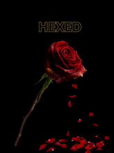 Load image into Gallery viewer, Hexed!
